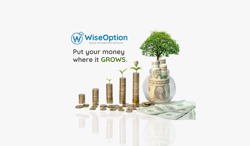 Put your money where it grows