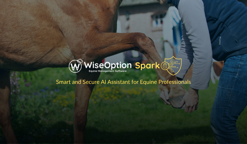 Ai Assistant for Equine Professionals