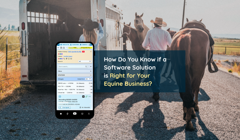 How to Choose the right software solution for your equine business?